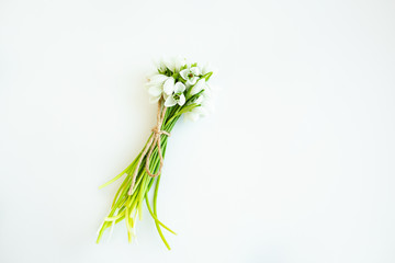 Three snowdrop flowers tied up with a rope isolated on white background