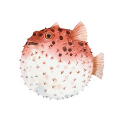 Beautiful artwork with very cute watercolor hedgehog fish. Stock illustration. Sea life. © zenina
