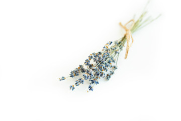 bunch of lavender flowers on a white background