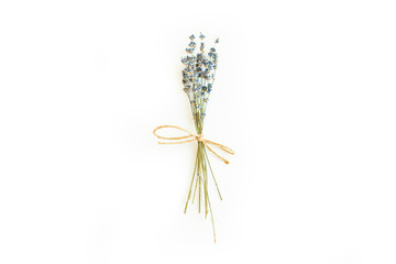bunch of lavender flowers on a white background