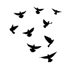 Doves are flying. Silhouette of pigeons that fly on a white background. Vector illustration