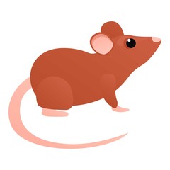 Rat icon. Cartoon of rat vector icon for web design isolated on white background