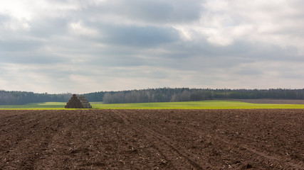 Spring landscape. A dark plowed field and a field with verdant shoots, last year's stack and forest...