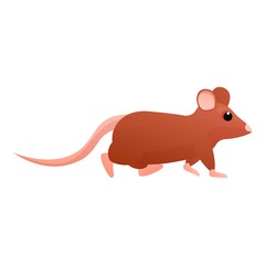 Walking rat icon. Cartoon of walking rat vector icon for web design isolated on white background
