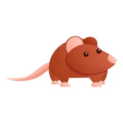 Asia rat icon. Cartoon of asia rat vector icon for web design isolated on white background