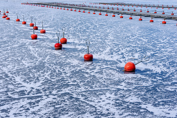 Red buoys for boats on the ice of Lake Saimaa, Finland