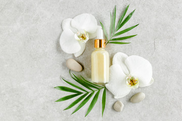 Fototapeta na wymiar Essential oil, vegetable extract, serum, hyaluronic acid, facial cream, tropic palm leaves on gray marble background. Spa skincare concept. Natural/Organic spa cosmetics products. Flat lay, top view