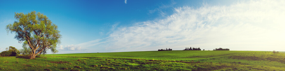 Paysage de printemps