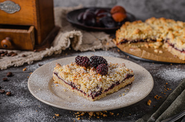 Rustic pie with forest fruit