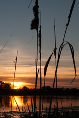 sunset on the pond