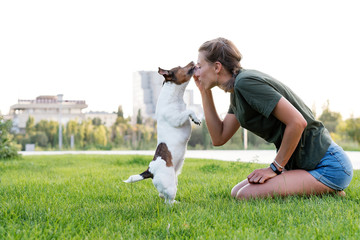 Fototapeta premium Attractive girl walk the dog. Jack Russell Terrier. Having fun playing in outdoors. Playful mood. Enjoying freedom. Friends together. Concepts of friendship, pets, togetherness