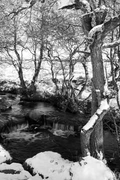 Burbage Brook Derbyshire In Winter