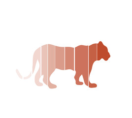 vector illustration of a lioness