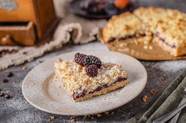 Rustic pie with forest fruit