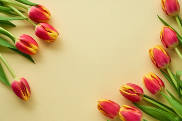 Bunches of red tulips on a light yellow background