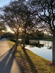 park with tree and path