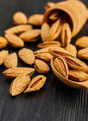 almond nut close-up