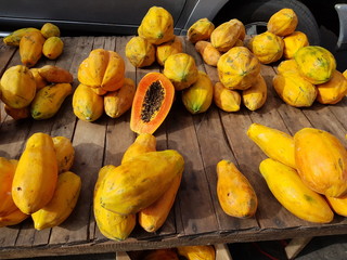 The papaya (Carica papaya) (from Carib via Spanish), papaw, or pawpaw is the fruit of the plant...
