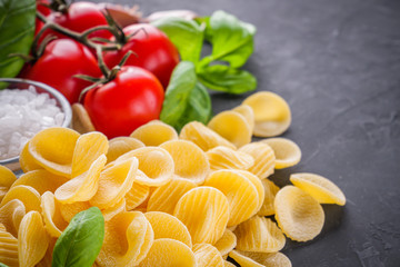 concept of traditional italian pasta with tomatoes and basil