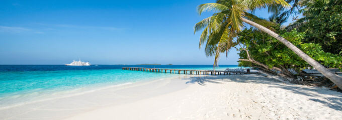 Beautiful beach panorama with palm tree