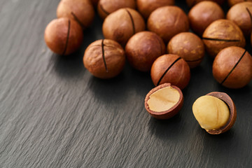 Macadam nut close-up