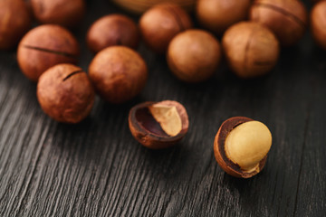 Macadam nut close-up