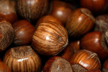 Close up/Macro image of pile of Hazelnuts with focus on central Hazelnut