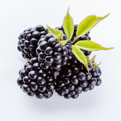 juicy blackberries on a white acrylic background