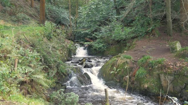 Water falling over rocks downstream in woodland during spring