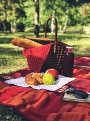 picnic in the park
