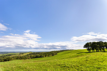 日本・北海道東部の弟子屈町、900草原