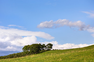 Obraz premium 日本・北海道東部の弟子屈町、900草原