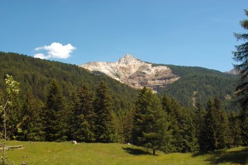 Fototapeta na wymiar Weißhorn Dolomiten