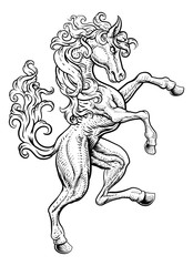 Obraz na płótnie Canvas A horse rearing rampant on its hind legs in a coat of arms crest woodcut style