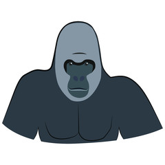 vector illustration of a head