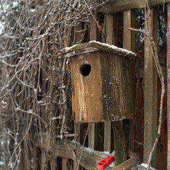 Old  birdhouse needs repair