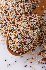 mix of quinoa grains on white acrylic background