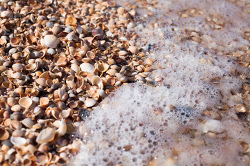Sea foam ashore from small shells