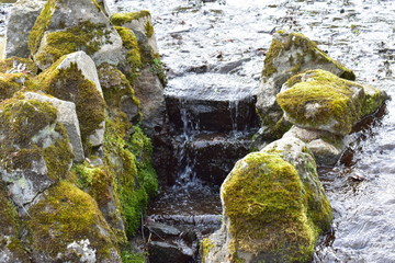 Natur, Tiere