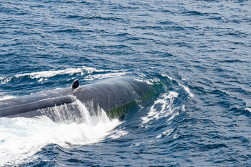Bow of the fast attack nuclear submarine of U.S.Navy above the sea surface