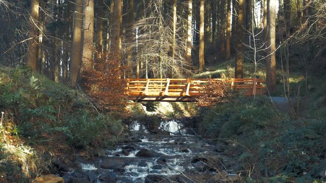 Wooden bridge over rushing river in Irish woodland