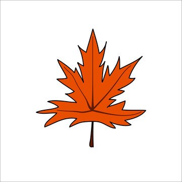 Autumn leaf foliage seasonal icon vector illustration design. Brown maple leaf isolated on a white background.