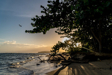 Sunrise Over a Tropical Beach