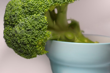 broccoli organic food, vegetarian and slimming, blue dishes plate