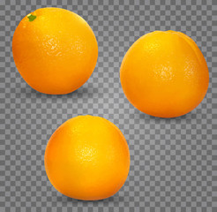 Set of realistic fresh ripe oranges in different view isolated on transparent background. Vector bright colorful objects fruits for branding, advertising design.