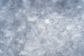 Tiny snow flakes are magnified under the light and show their unique patterns and abstract qualities.