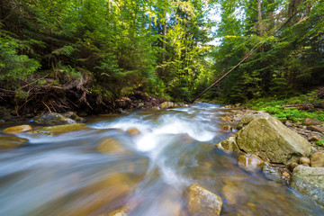 Fast flowing through wild green forest river with crystal clear smooth silky water falling from big wet stones in beautiful waterfalls on bright sunny summer day. Long exposure shot.