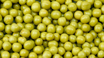 green tomatoes reflect bright electric light lying on large pile before salad preparation