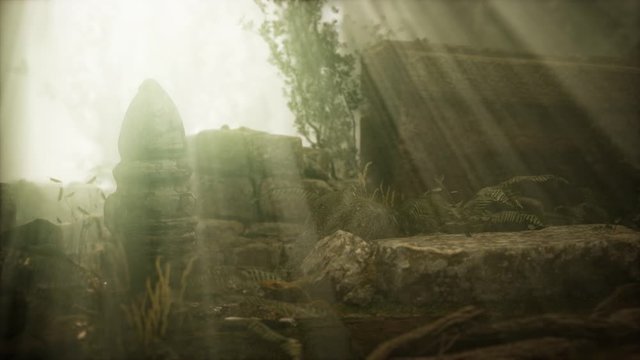 Hoary ruins of ancient city in pine forest