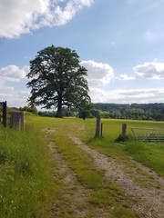 road in the countryside